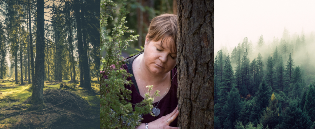 Keskellä Raija Hasu nojaamassa puuhun silmät kiinni. Oikealla kuva aurinkoisesta metsästä. Vasemmalla kuva sumuisesta metsästä.