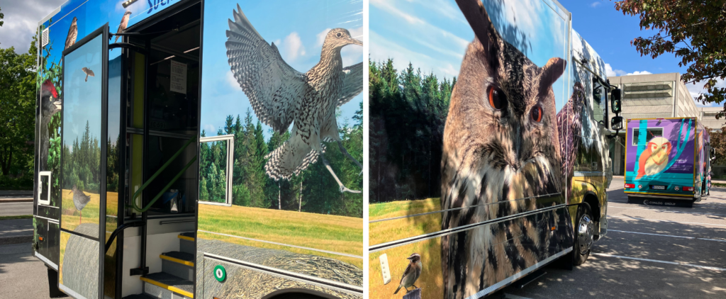 Kaksi kuvaa Heinolan kirjastoauton kyljen kuvituksista, joissa aiheena ovat linnut ja maisema. Toisessa kuvassa taustalla Tuusulan Kirre-kirjastoauto, jossa kuvituksena pöllö.
